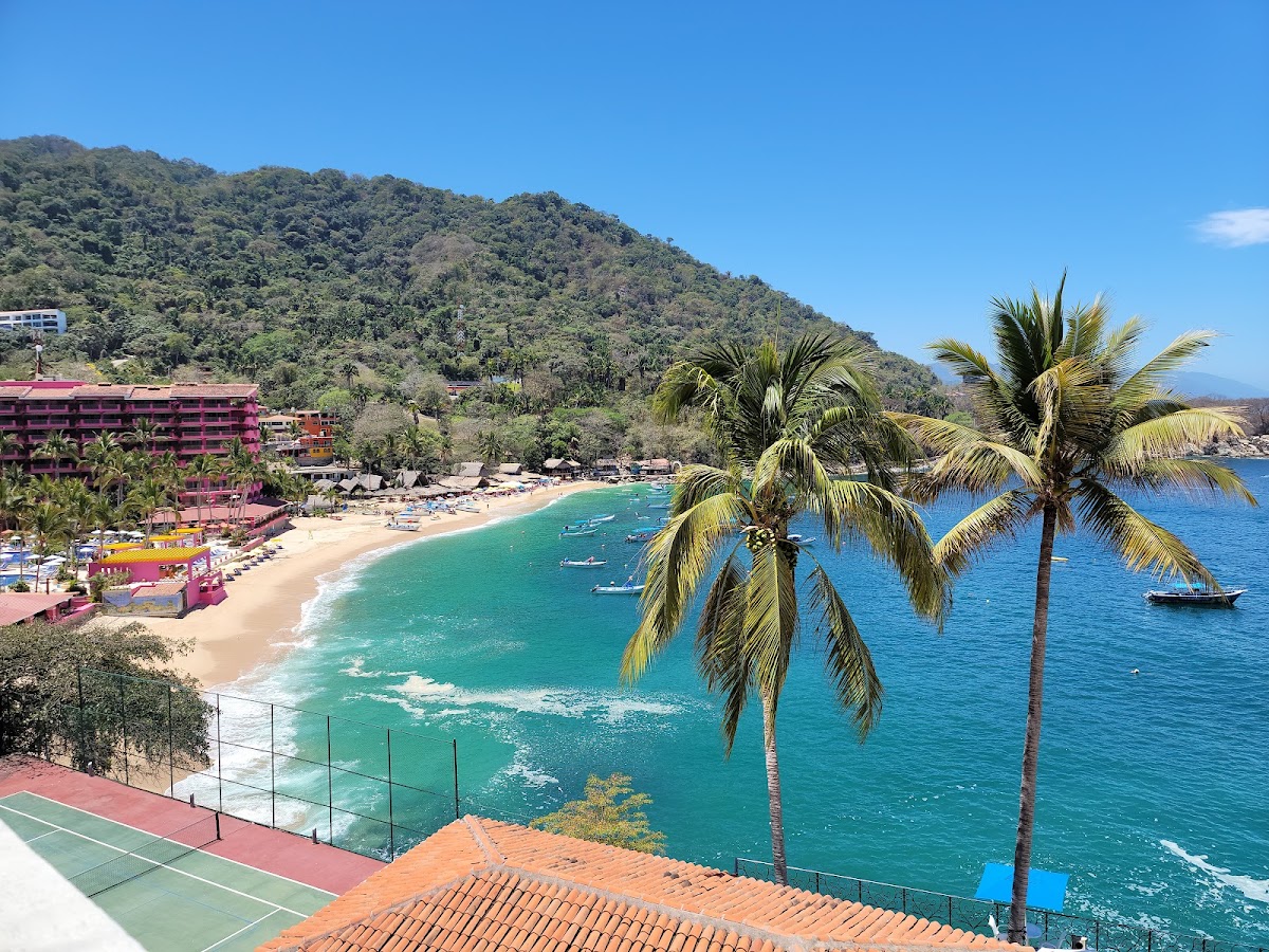 Barcelo Puerto Vallarta - Photo 3