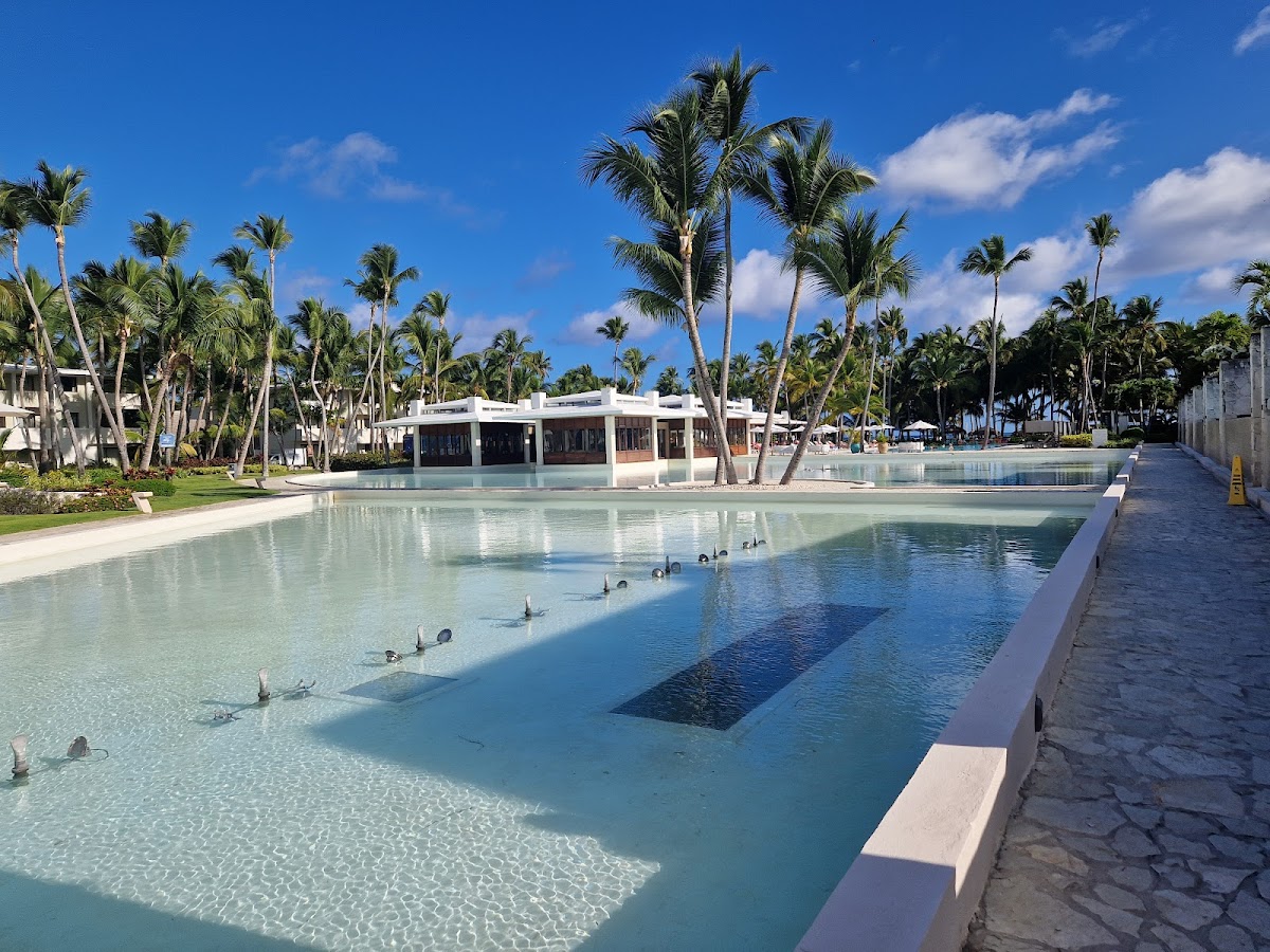 Catalonia Royal Bavaro - Photo 3