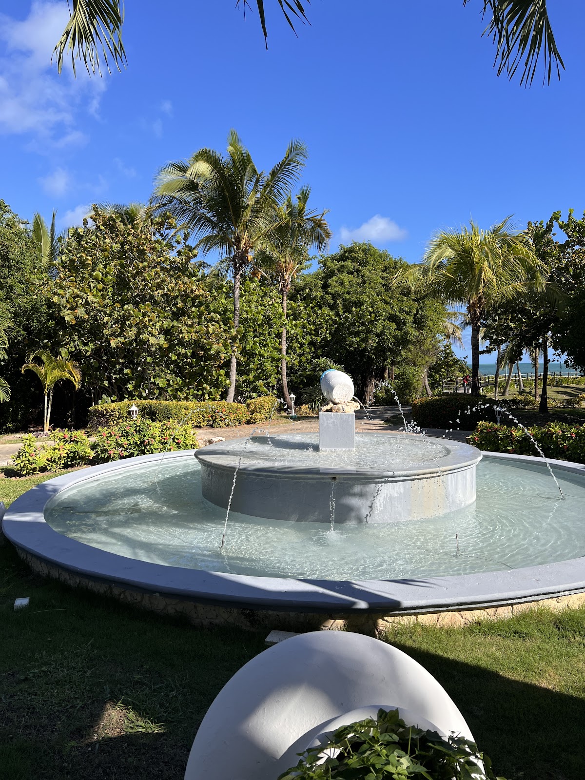 Iberostar Coral Ensenachos - Photo 1