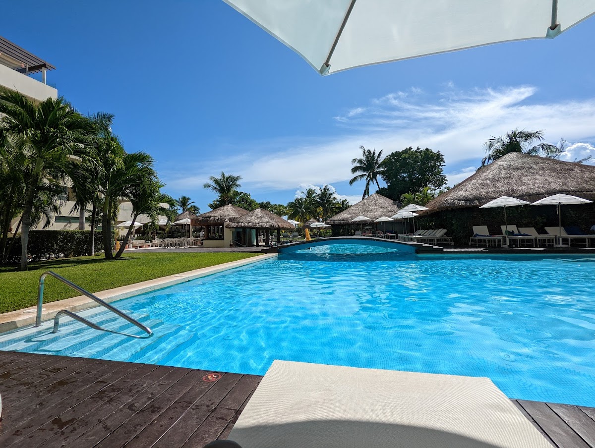 Privilege Aluxes - Photo 3