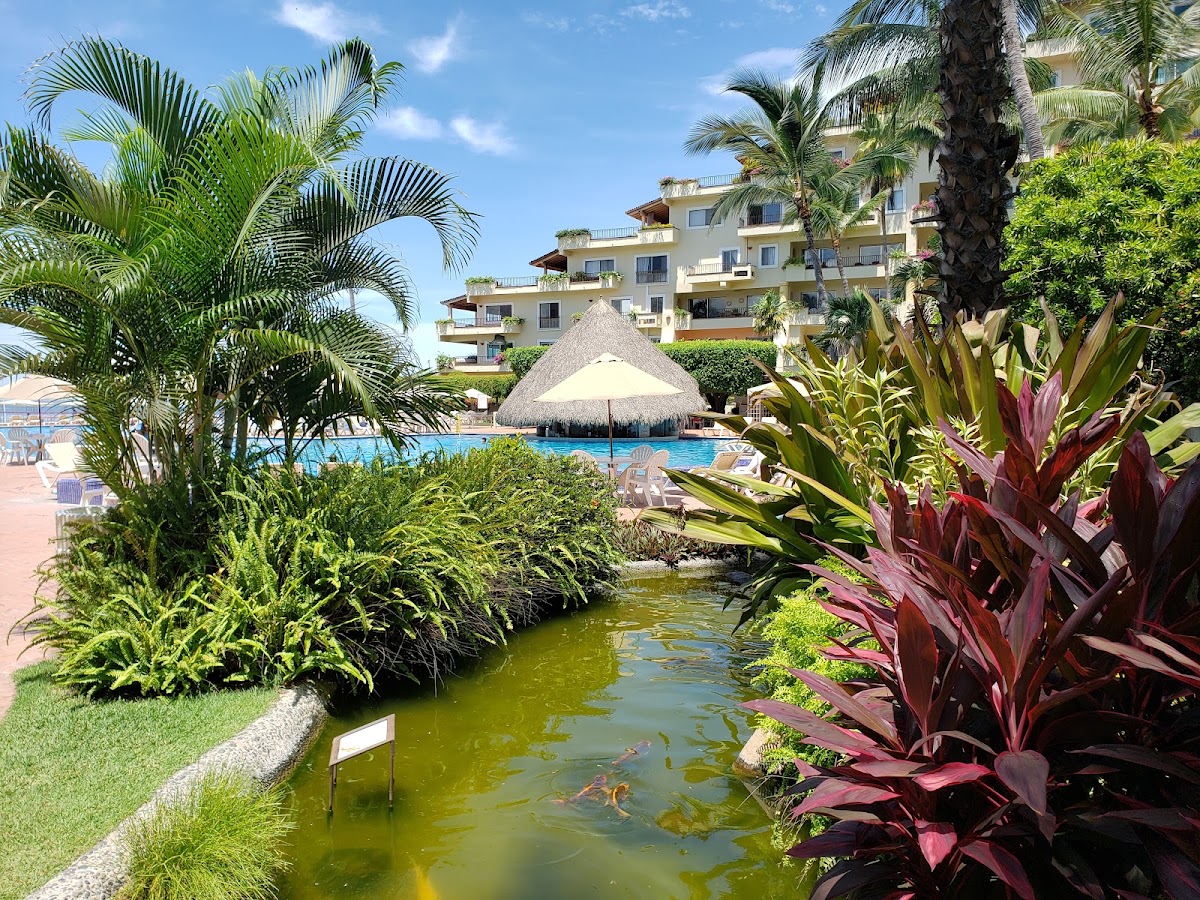 Velas Vallarta Suites Resort - Photo 1