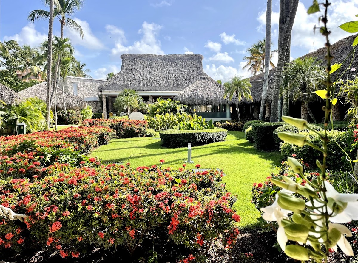 Viva Dominicus Beach By Wyndham, A Trademark All Inclusive Resort - Photo 1